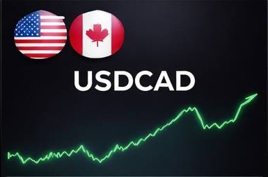 4900472176692104069 - Copia - Copia - Copia - Copia